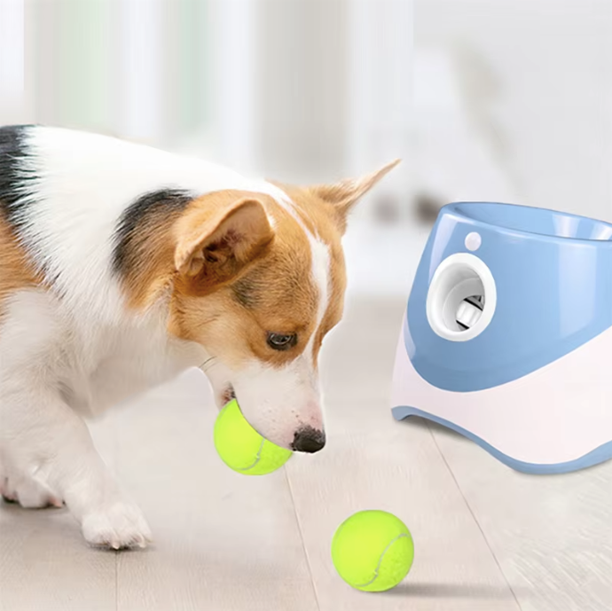 automatic dog launcher