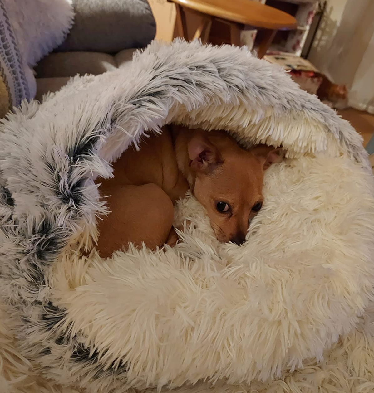 Cozy cave bed