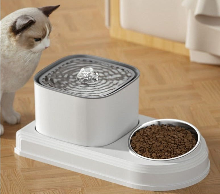 Best cat clearance drinking fountain