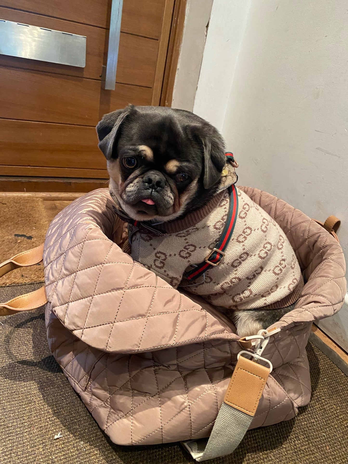 Pet Travel Bag