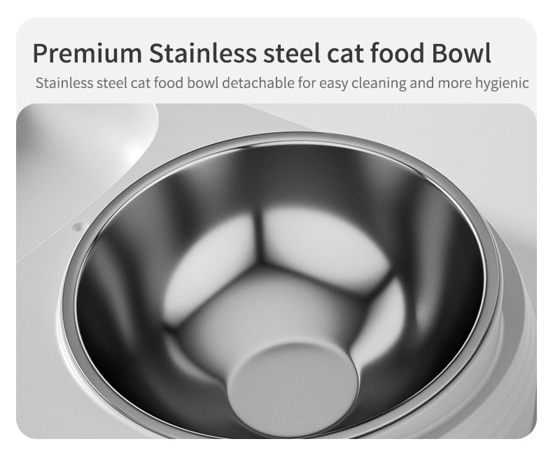 Best Cat Water Fountain
