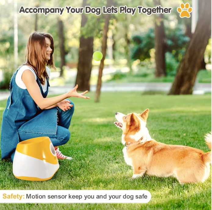 Best automatic dog ball launcher