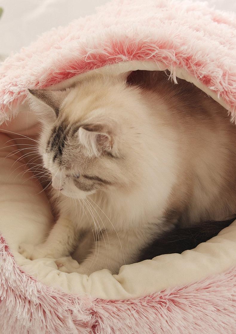 Cozy cave bed