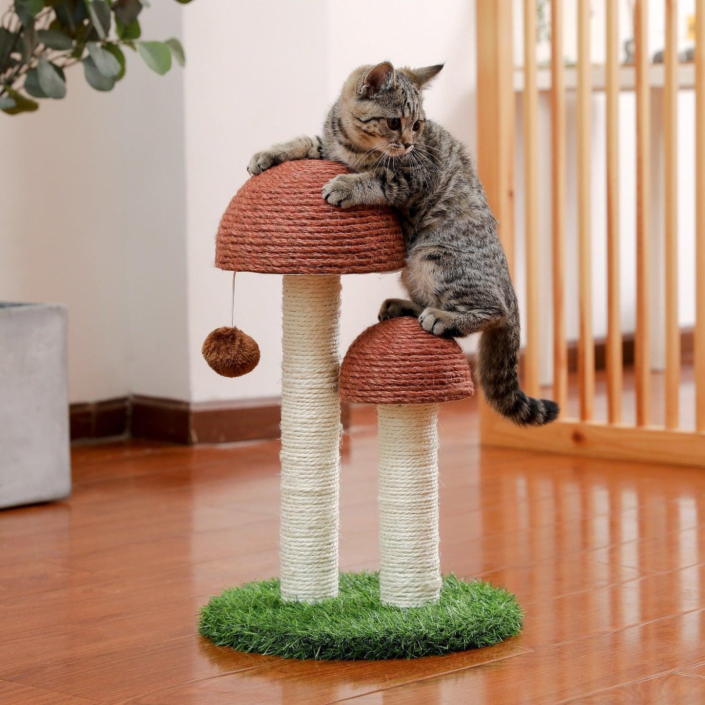 Cat Condo Scratching Post - karuna
