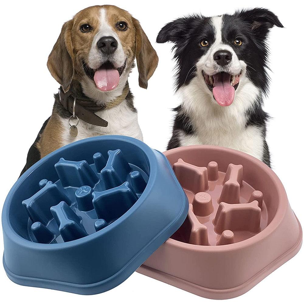 Does My Dog Need A Slow Feeder Bowl? - Canine Country