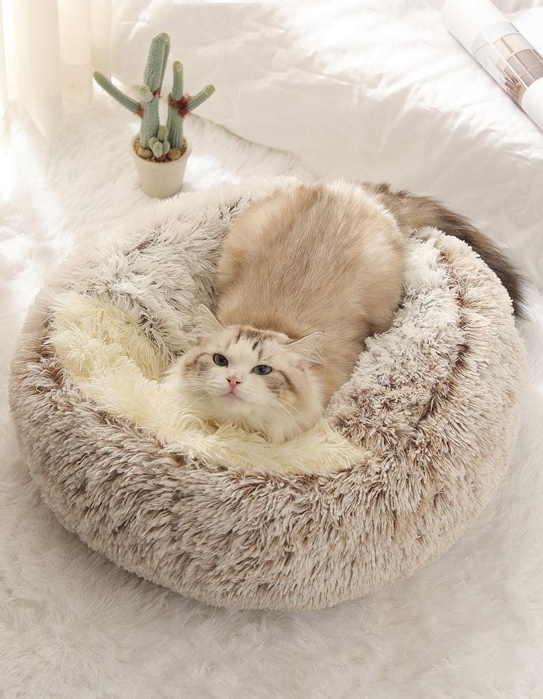 Cozy cave bed