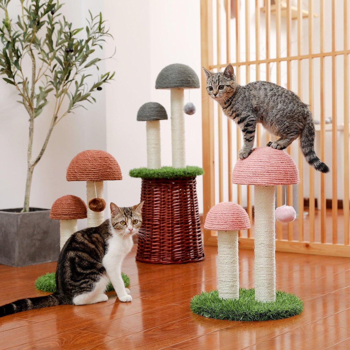 Cat Condo Scratching Post - karuna