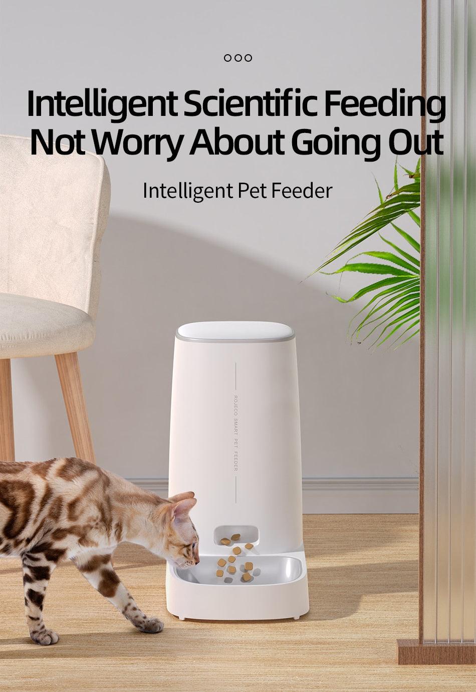 Automatic Pet Food Dispenser - karuna