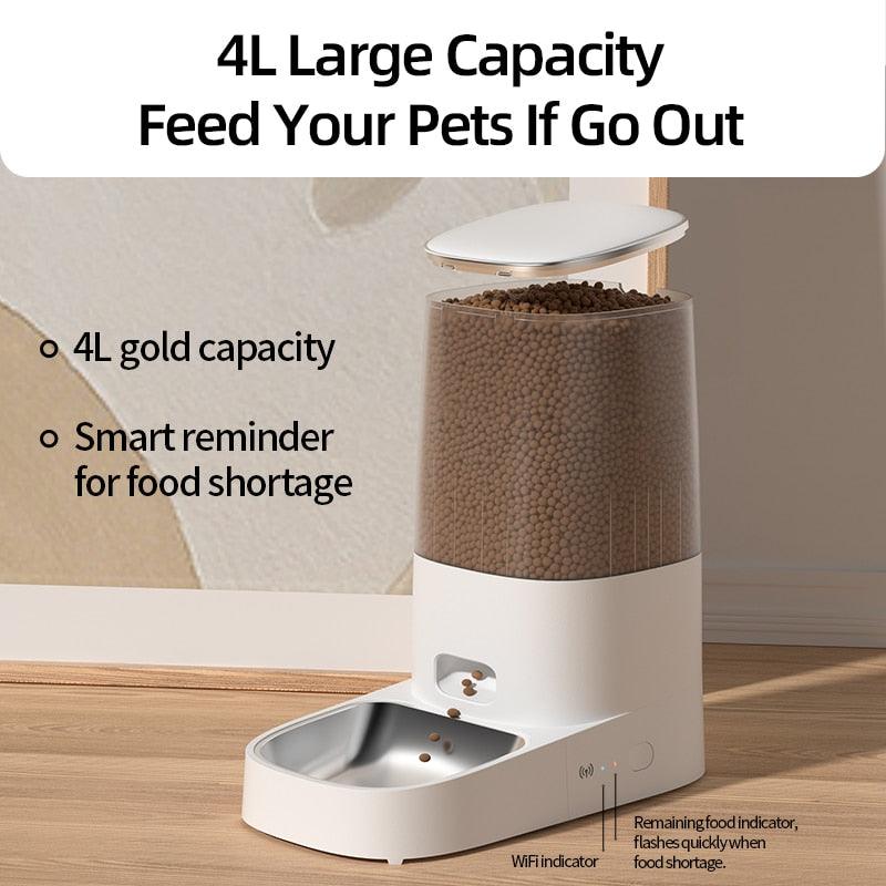 Automatic Pet Food Dispenser - karuna
