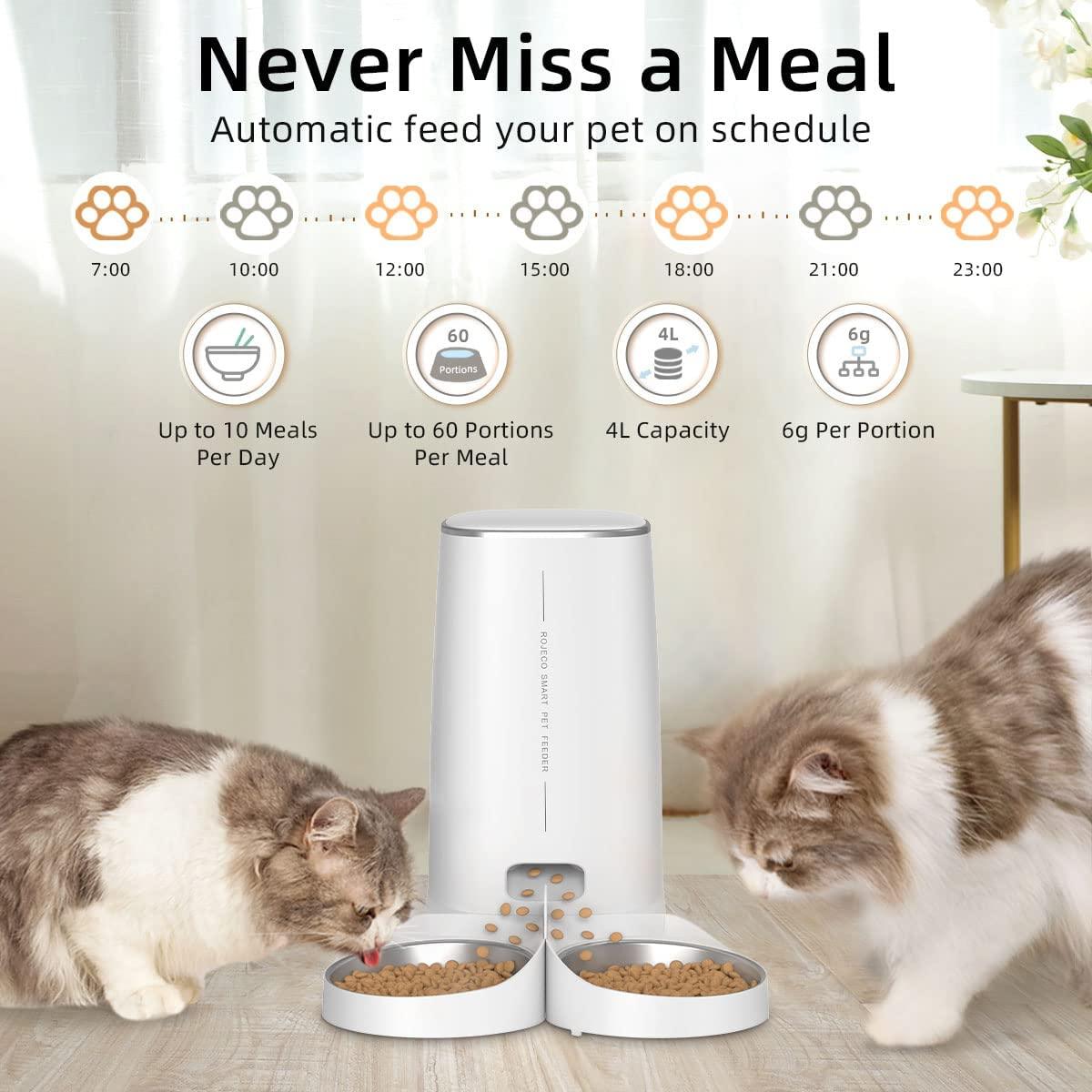 Automatic Pet Food Dispenser - karuna