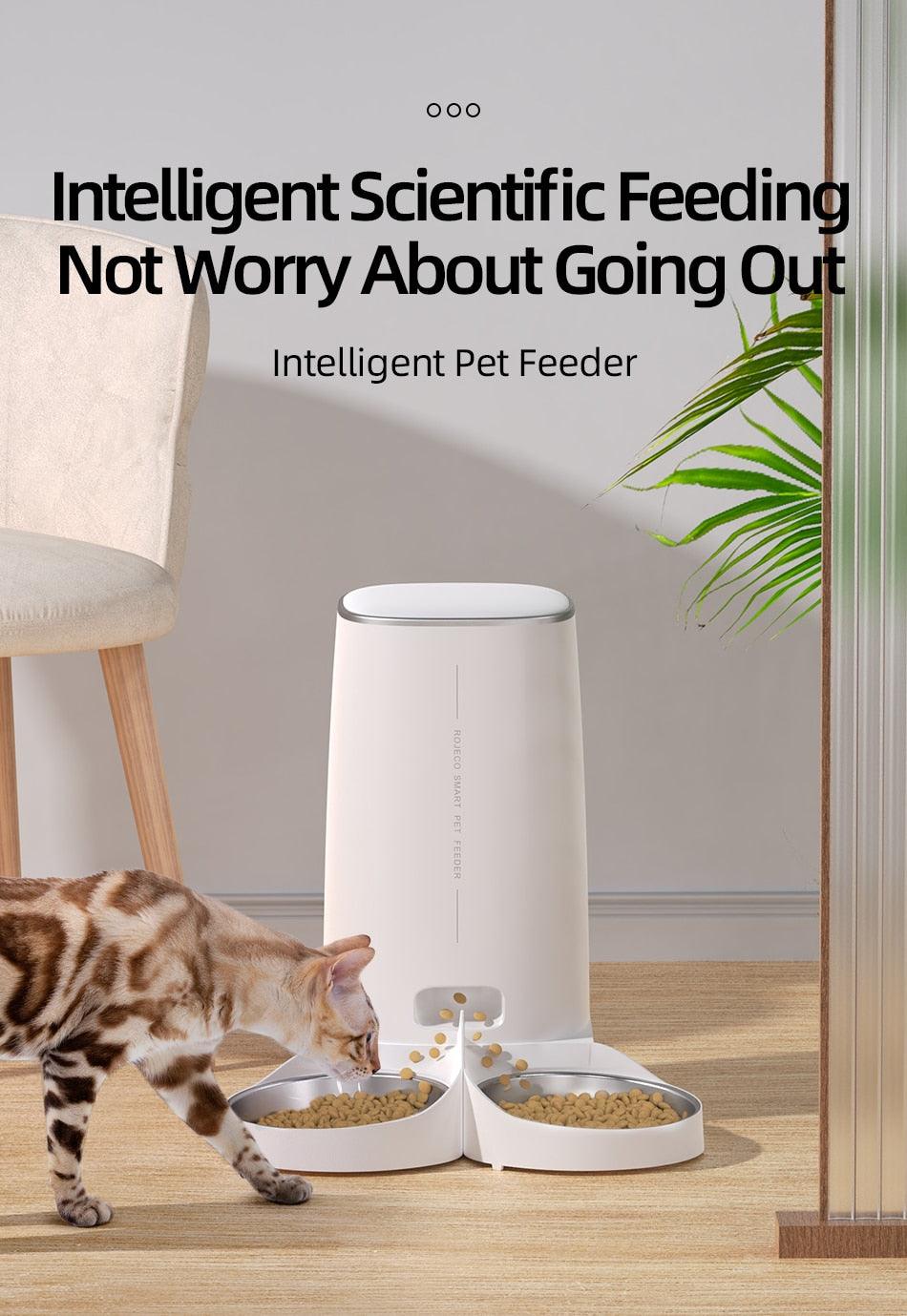 Automatic Pet Food Dispenser - karuna