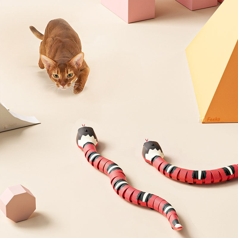 Snake sales cat toy