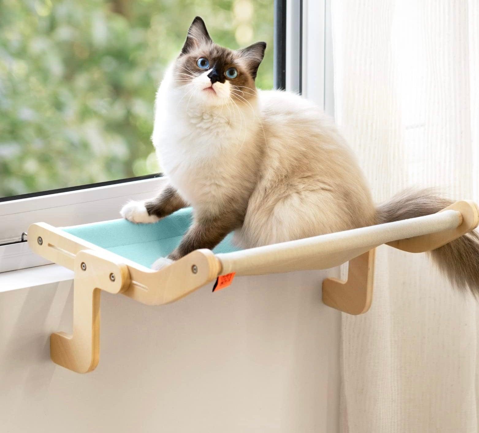 Best cat outlet window hammock