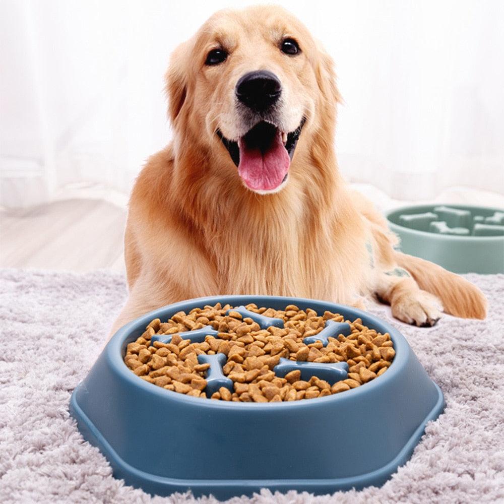 5 Reasons Why a Slow Feeder Bowl is a Must-Have for Your Dog's Health - karuna