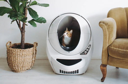 The Ultimate Guide to Self-Cleaning Cat Litter Boxes