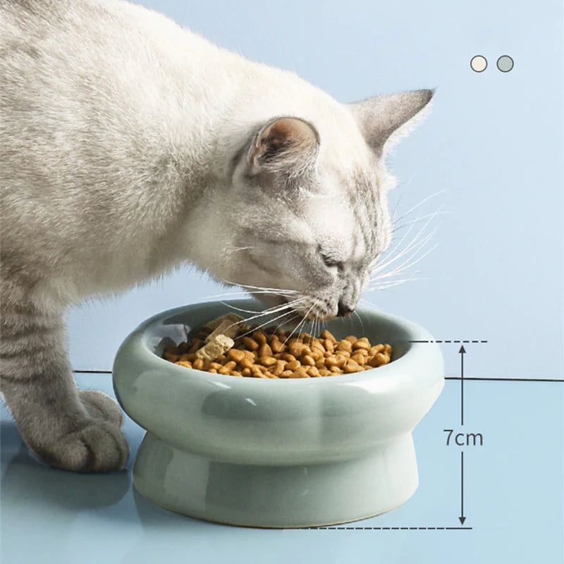 Elevated Ceramic Cat Bowls