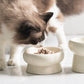 Elevated Ceramic Cat Bowls