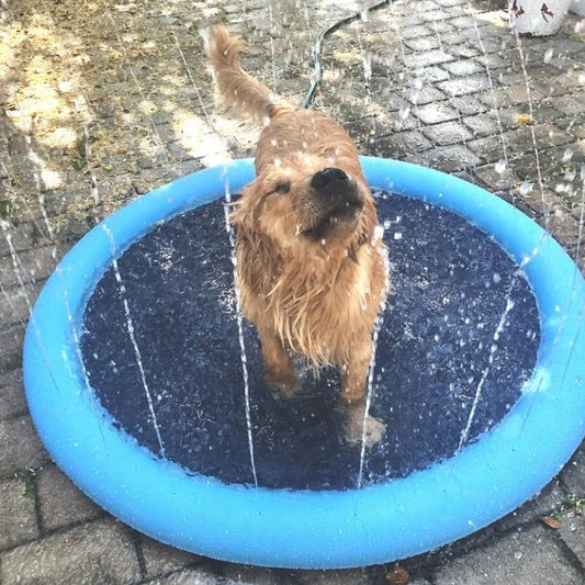 Dog Sprinkler Pad