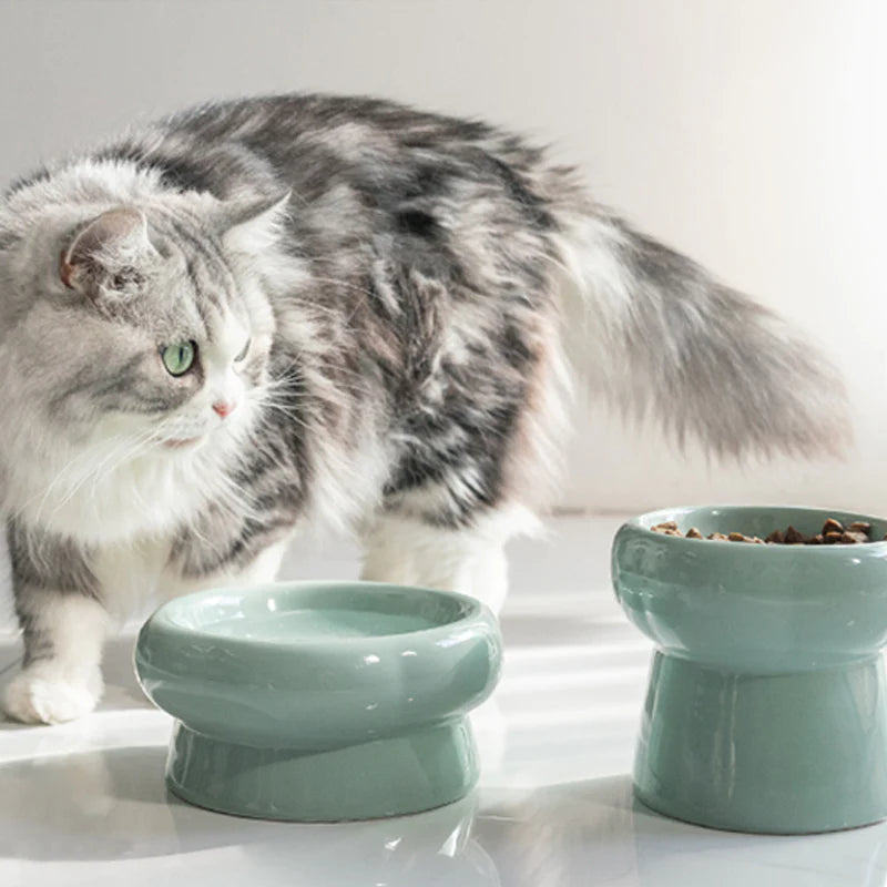 Elevated Ceramic Cat Bowls