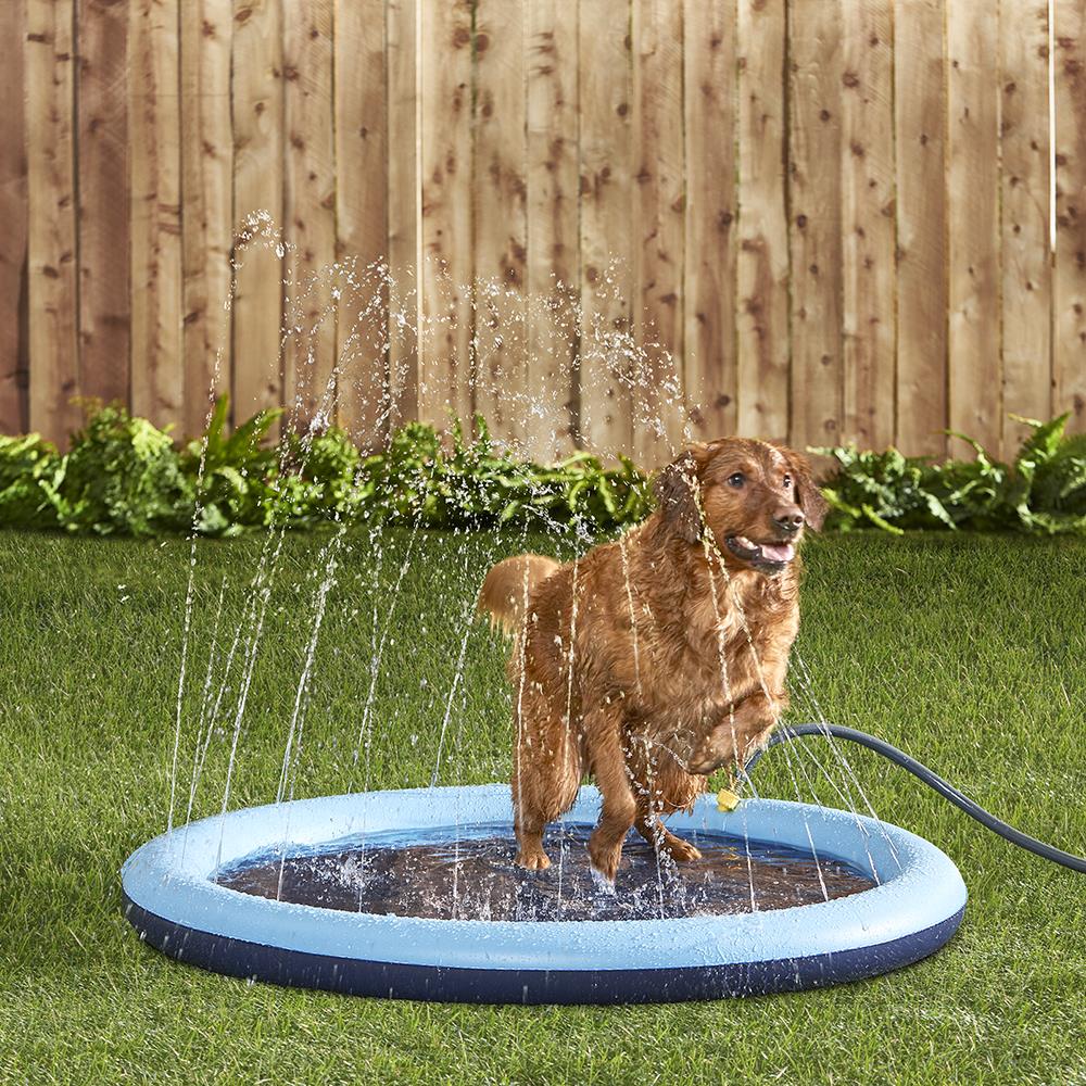 Dog Sprinkler Pad