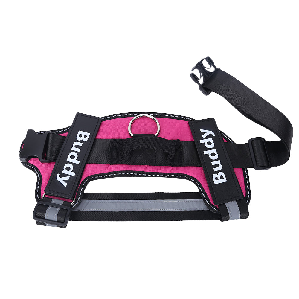 Personalized No Pull Dog Harness