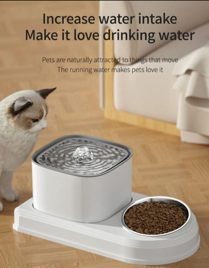 Best Cat Water Fountain