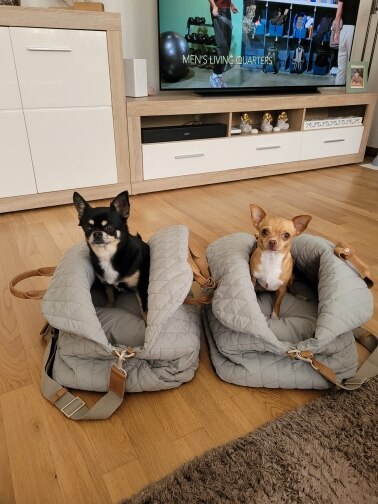 Pet Travel Bag