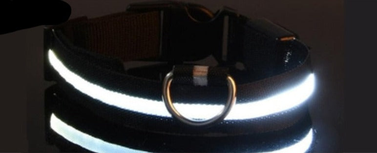 Led Light Dog Collar