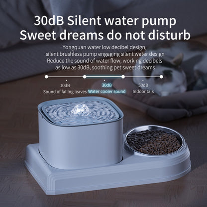 Best Cat Water Fountain