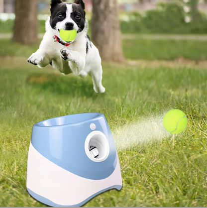 Best automatic dog ball launcher