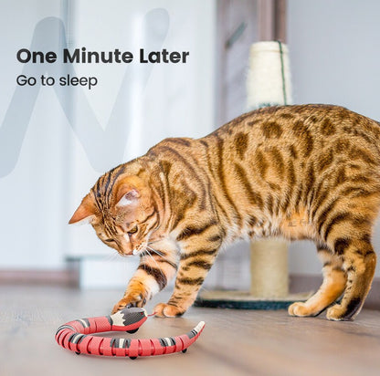 Smart Sensing Snake Cat Toy