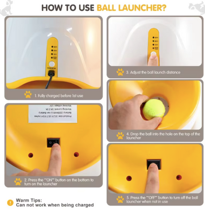 Best automatic dog ball launcher