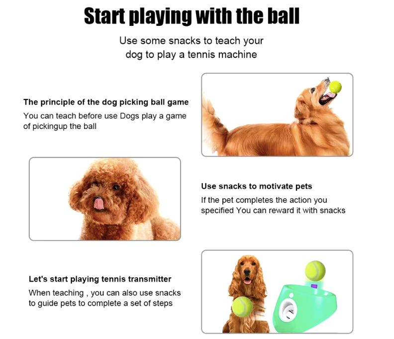 Best automatic dog ball launcher