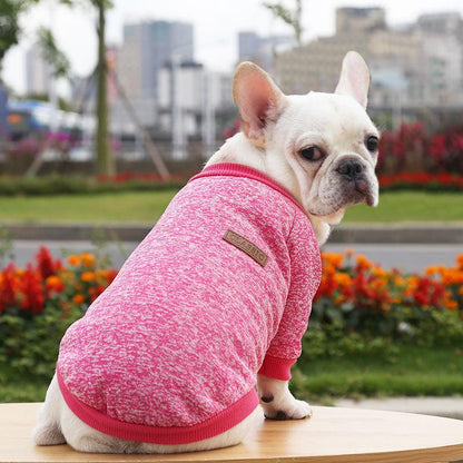 Dog winter sweater - karuna