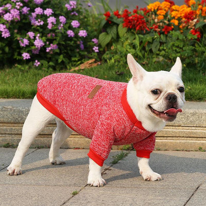 Dog winter sweater - karuna