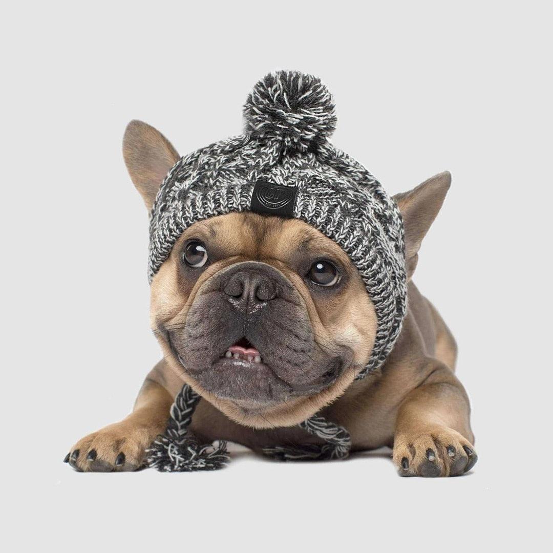 Dog sale toboggan hat