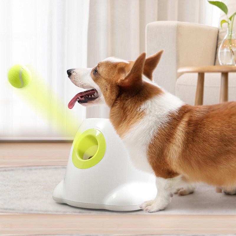Best automatic dog ball launcher - karuna