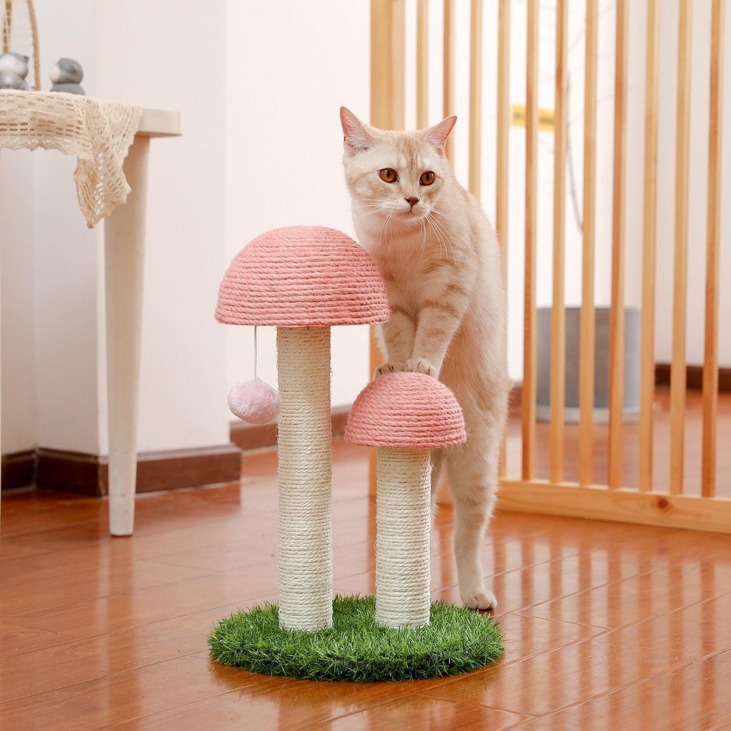 Cat Condo Scratching Post - karuna