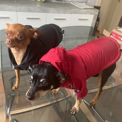 Dog Rain Jacket With Hood - karuna