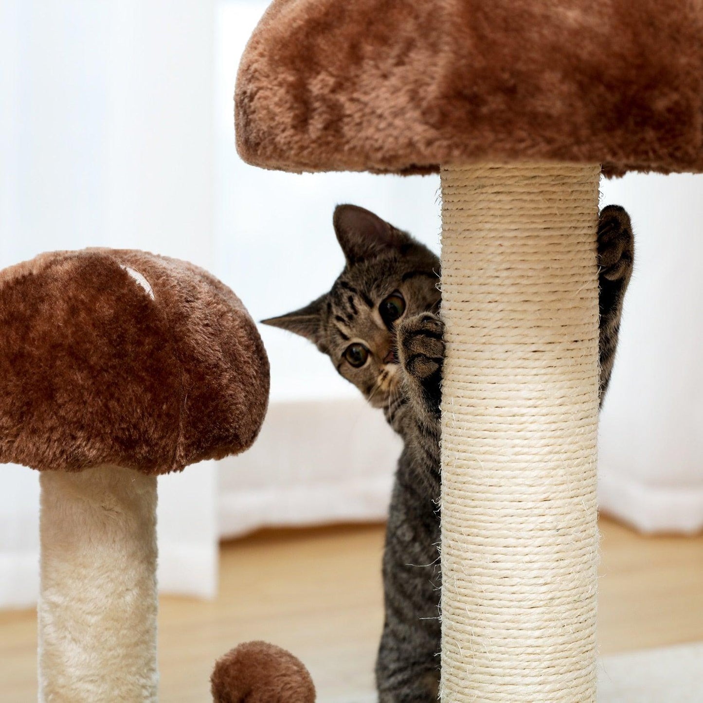 Cat Condo Scratching Post - karuna