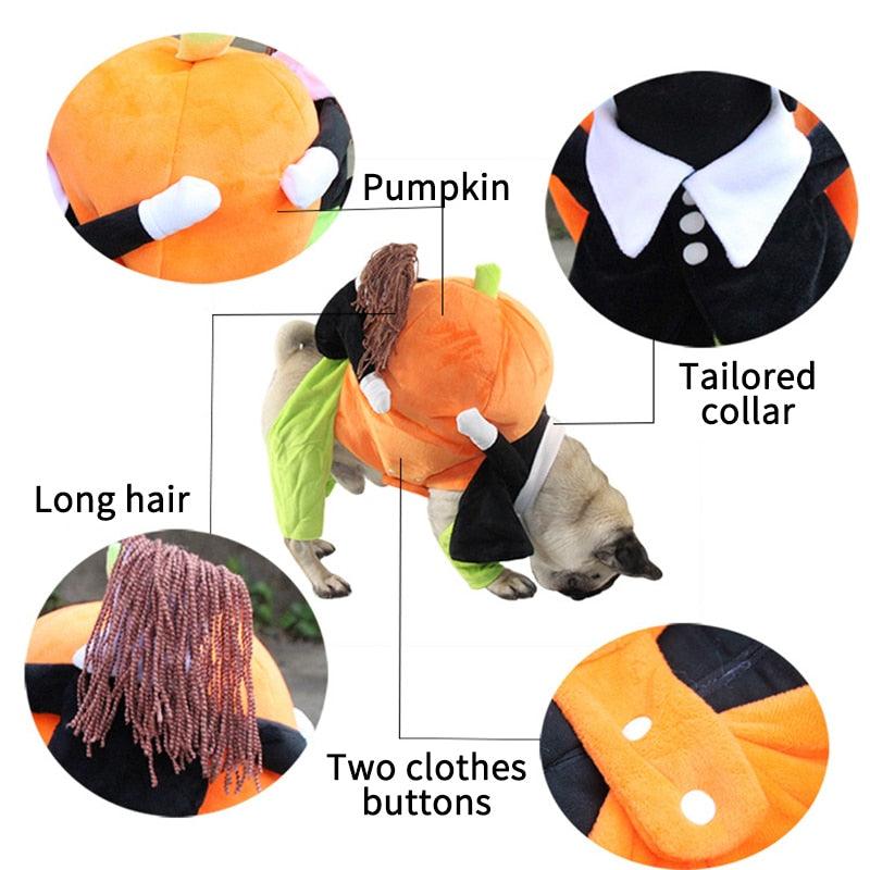 Dog Pumpkin Outfit - karuna