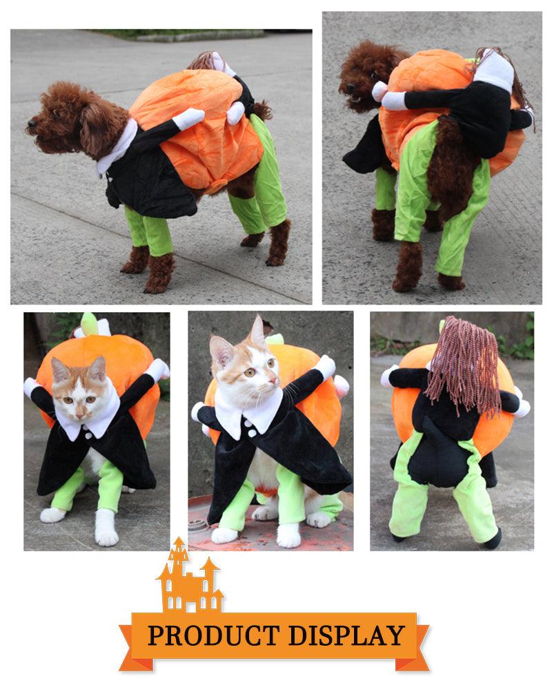 Dog Pumpkin Outfit - karuna