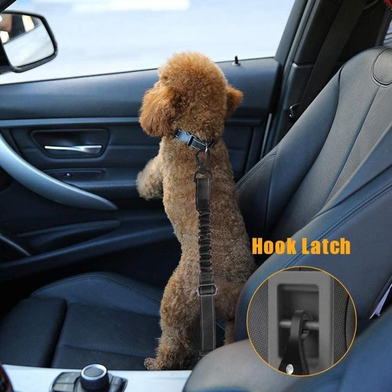 Best Dog Car Seat Belt