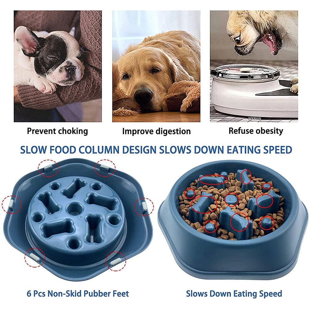 Slow Down Dog Bowl - karuna