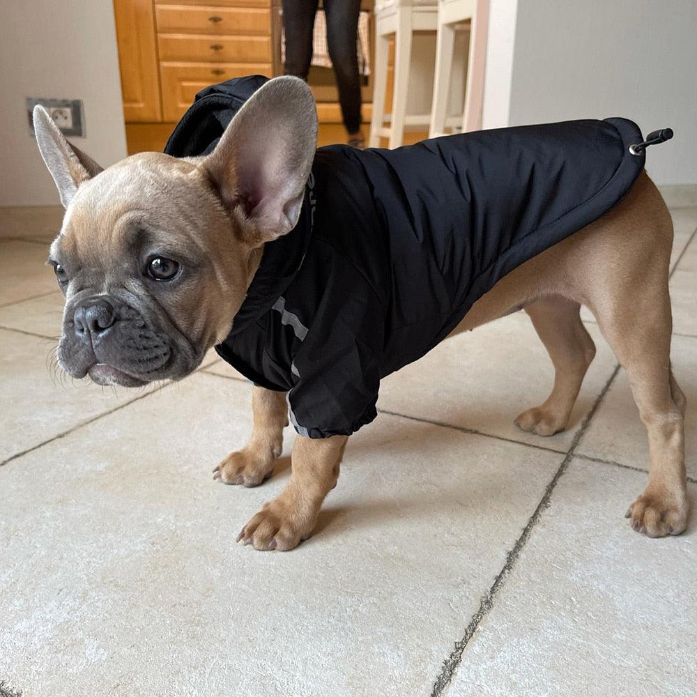 Dog Rain Jacket With Hood - karuna