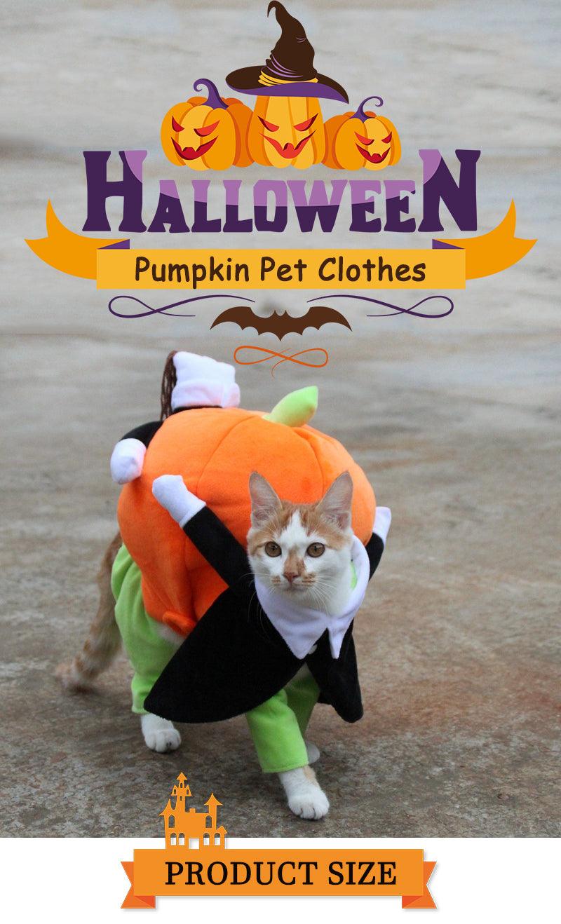 Dog Pumpkin Outfit - karuna