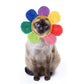 Cat Flower Hat - karuna