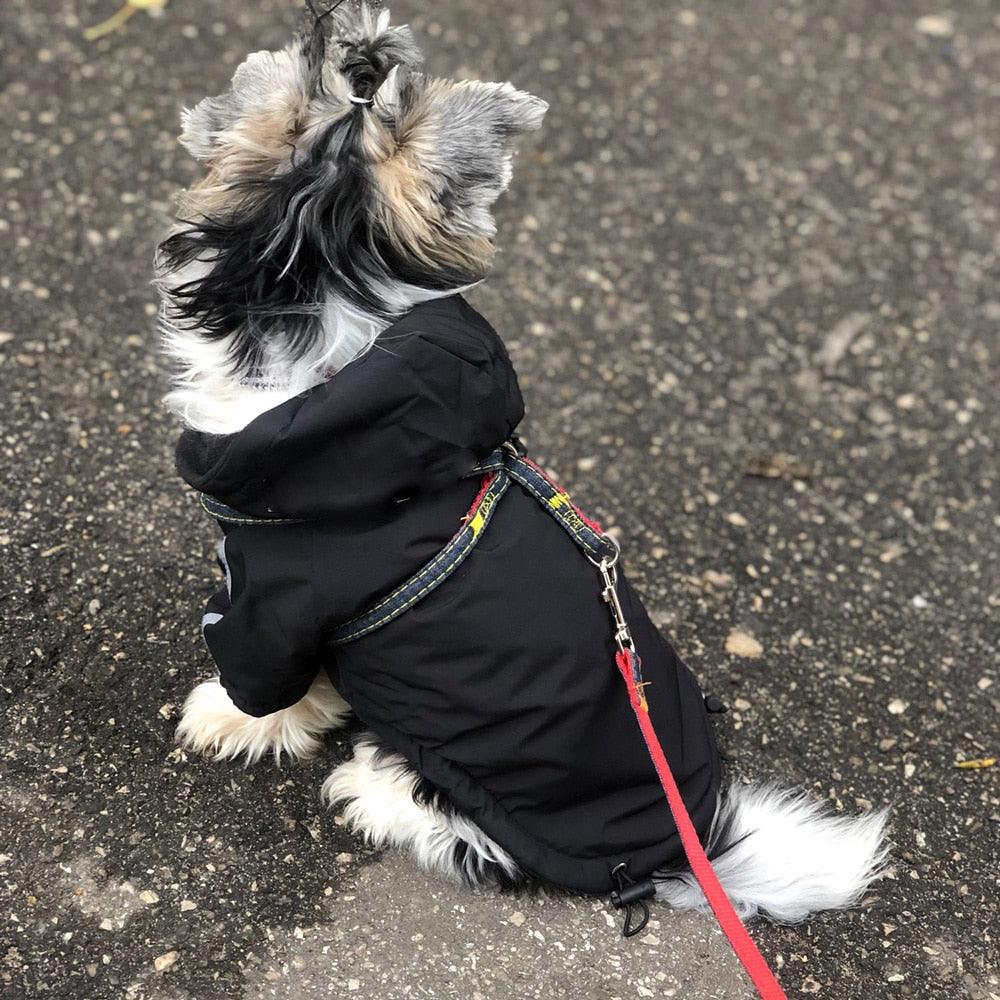 Dog Rain Jacket With Hood - karuna