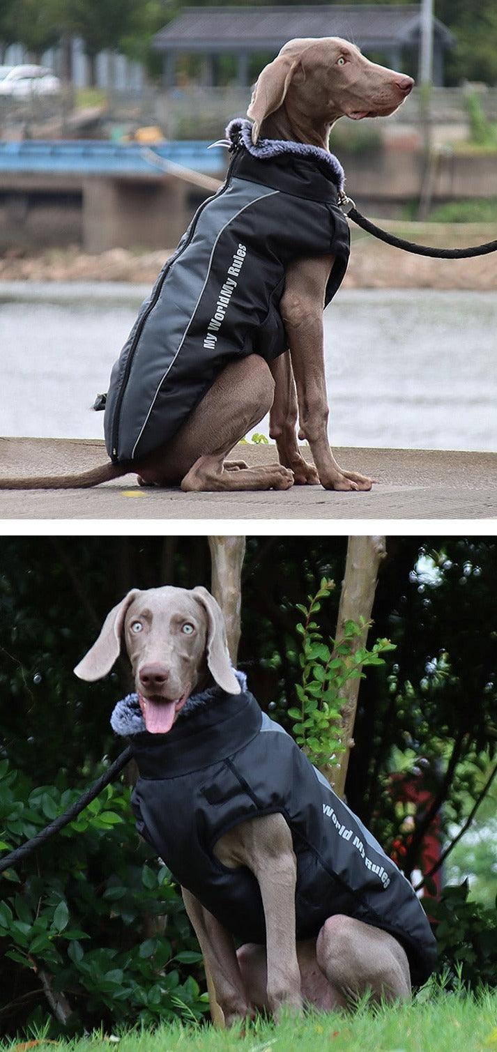 Dog Winter Coat Waterproof - karuna
