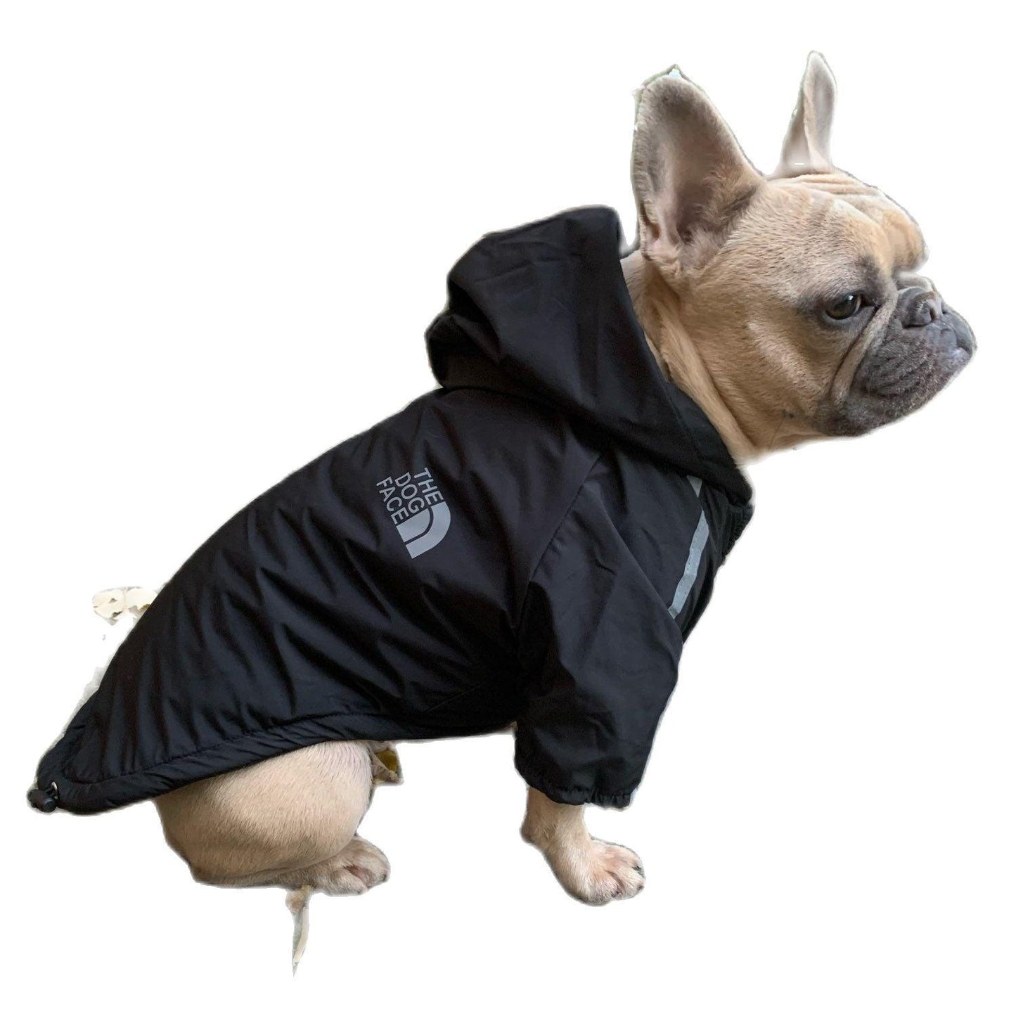 Dog Rain Jacket With Hood - karuna